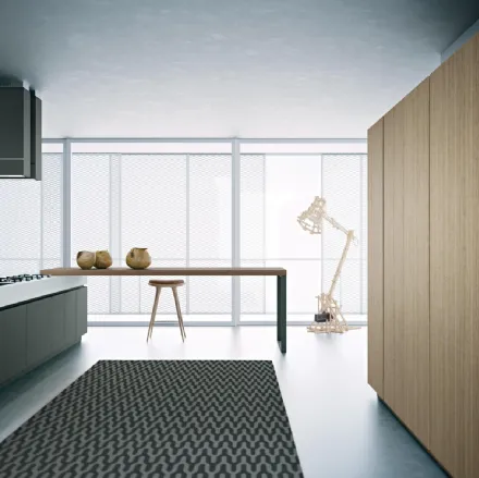 Cucina Moderna lineare Area 22 30 gradi 01 in laccato di Dibiesse